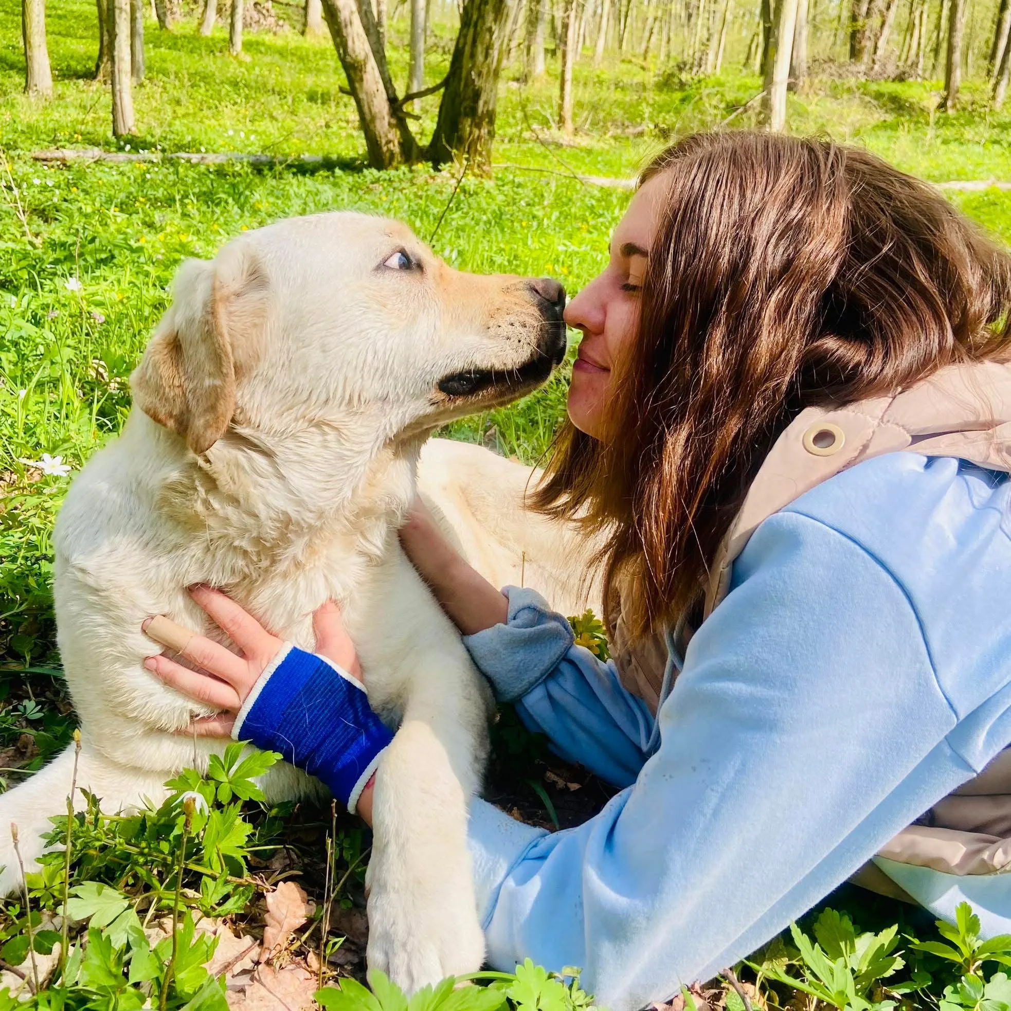 Meda Căpîlna la nivelul solului într-o pădure de foioase, în timpul unei activități în aer liber